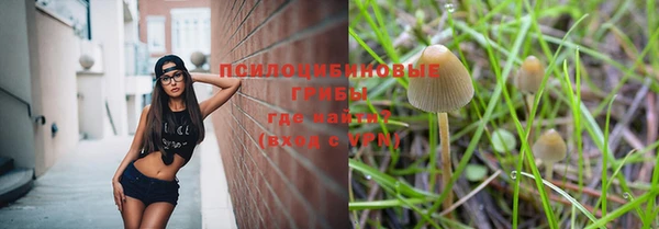 дурь Пересвет