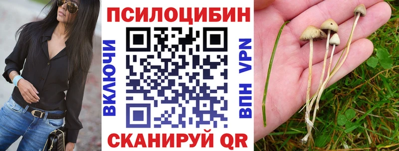 Галлюциногенные грибы прущие грибы  Купить где  Курган 